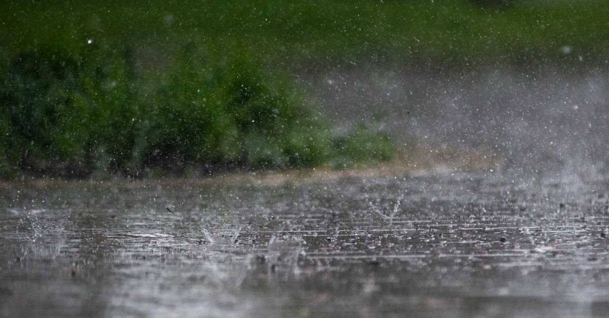 Heavy rain splattering off a paved surface beside green planting