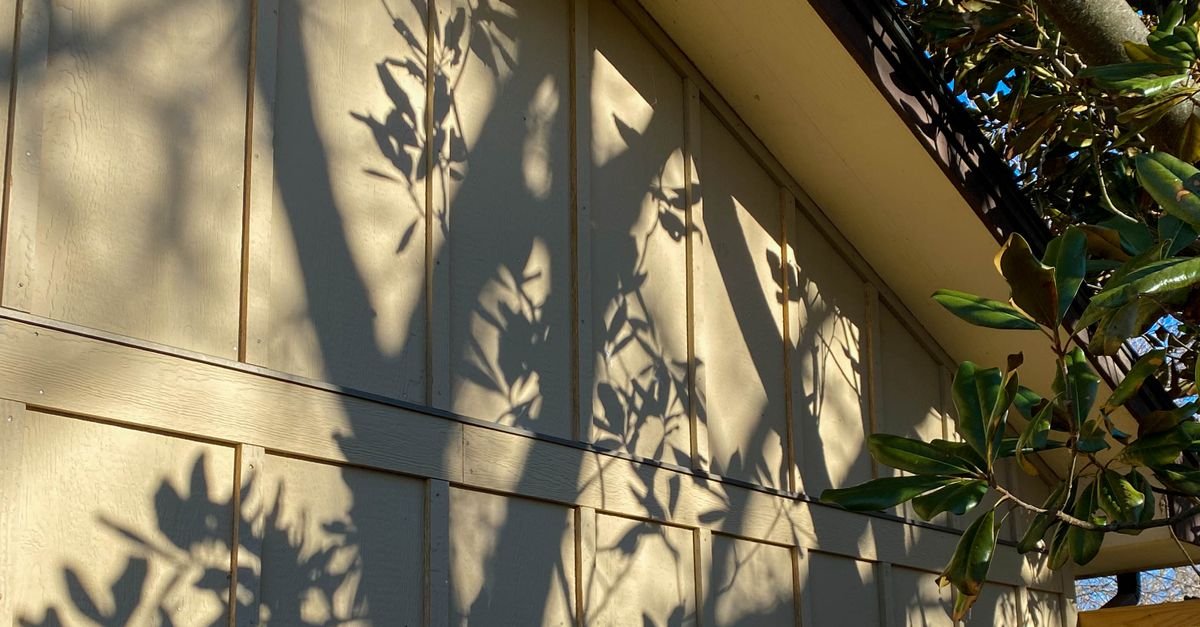 The shadow of a large tree falling across a sunlit residential wall on a clear day