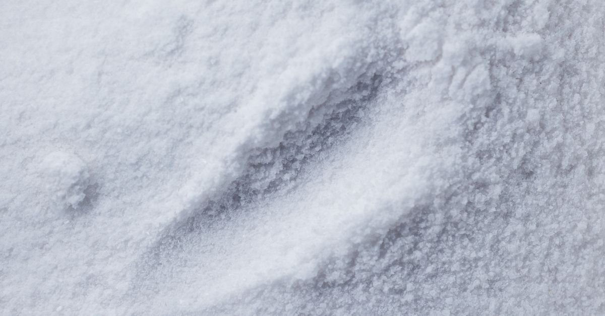 Macro photograph of fine white powder showing its loose crystalline texture