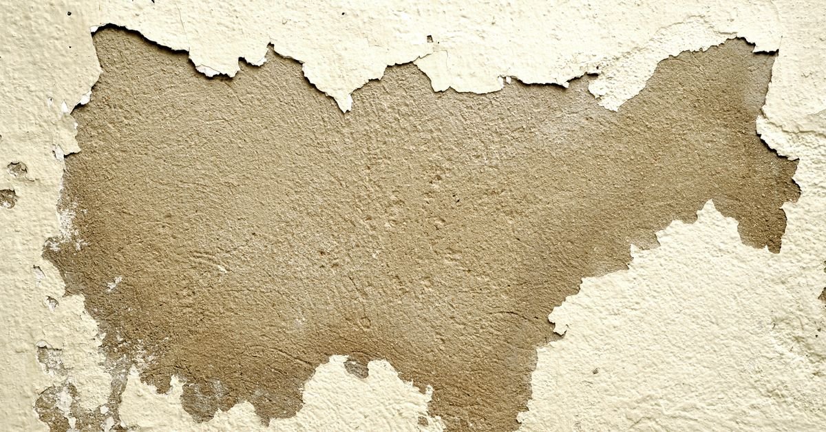 Close-up of an exterior wall where paint is peeling away to expose the rough surface underneath