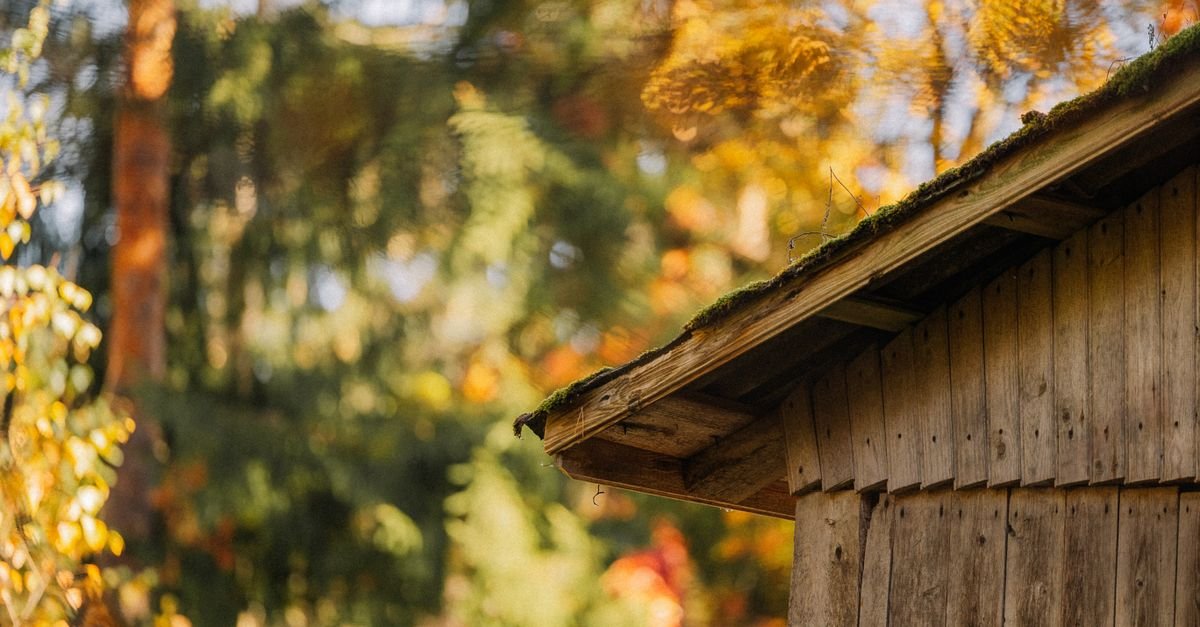 Wooden hut with a thick moss-covered shingle roof in an autumn forest