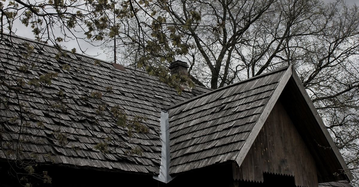 Wooden house with a shingle roof under bare overhanging tree branches