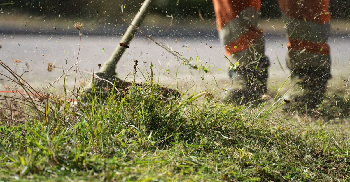 Close-up of green grass clippings thrown out from beneath a mower deck during cutting