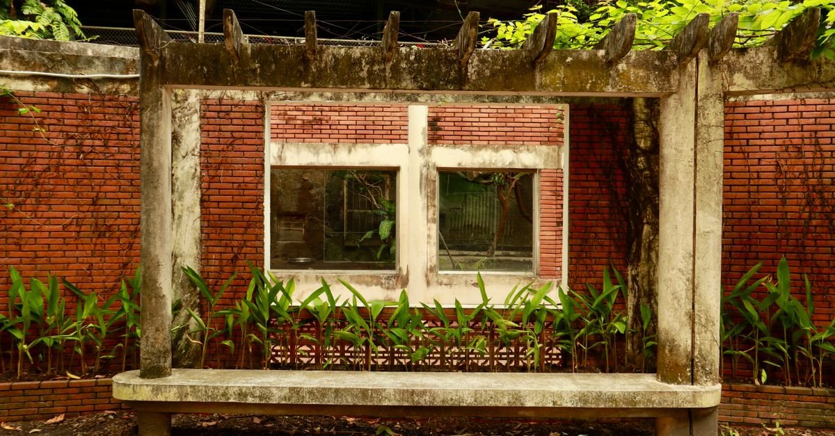 An aged timber pergola against a brick wall, the posts showing weathering and vertical staining