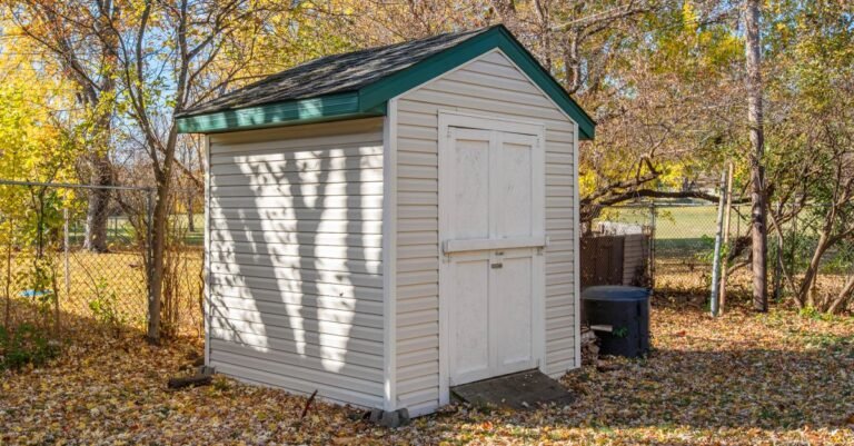 A small backyard storage shed with a shallow pitched roof standing among autumn foliage