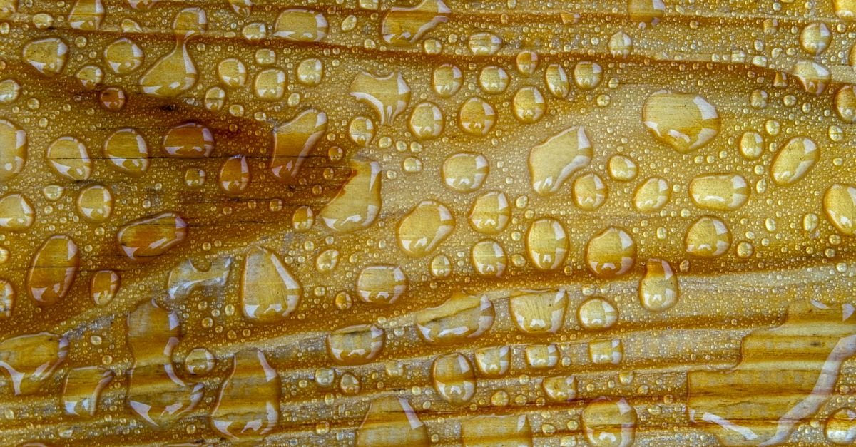 Water droplets standing on a wooden surface, the bead that means the boards are not ready for stain