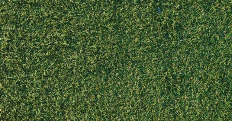 Close-up of dense green artificial grass fibres standing upright in a lawn
