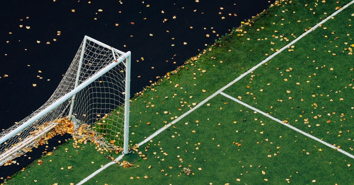 Autumn leaves scattered across a green artificial sports pitch seen from above
