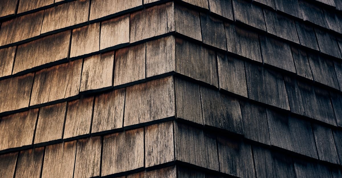 Close-up of cedar shingle grain with hard latewood bands standing proud of the softer wood