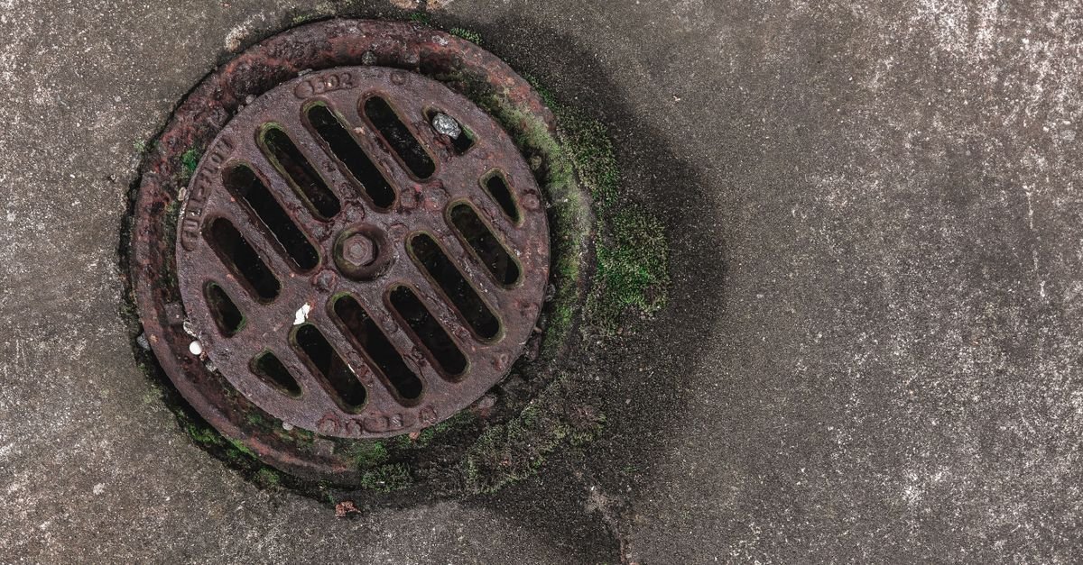 A street drain grate with moss around its edges where driveway runoff collects