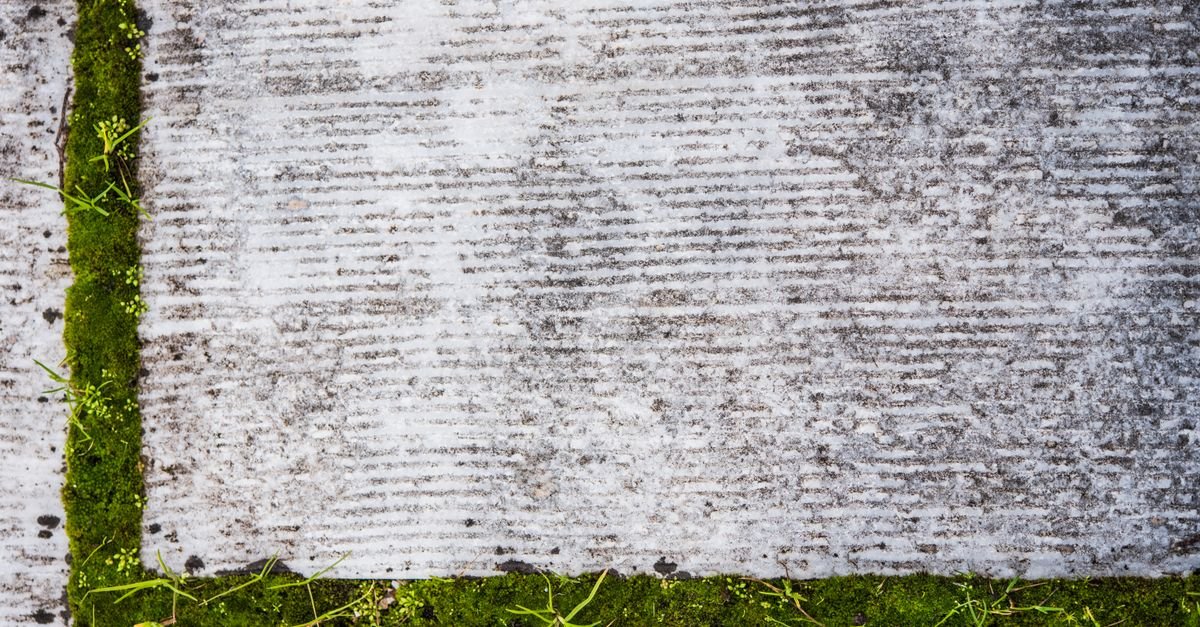 Green algae and moss growing in the joints between textured concrete slabs