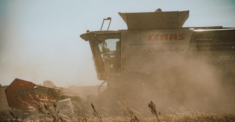 Side view of a combine harvester working through a dusty wheat field at harvest