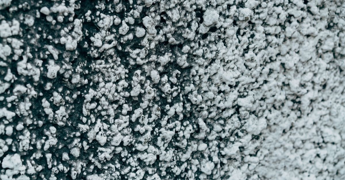 A rough, weathered cement surface showing pale mineral bloom and texture
