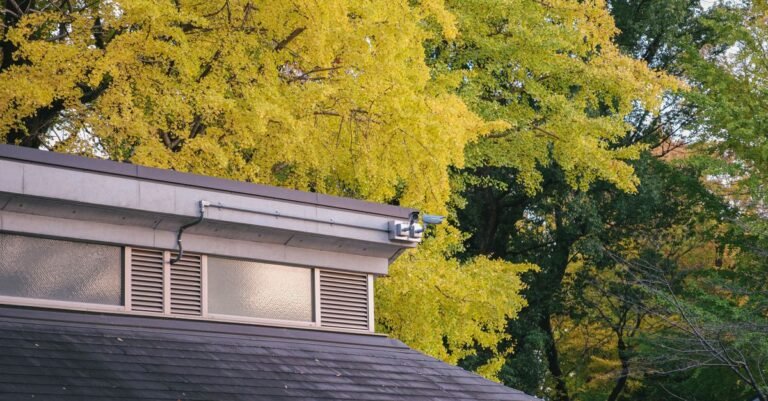 Autumn leaves collected along the edge of a modern building roof above the gutter line