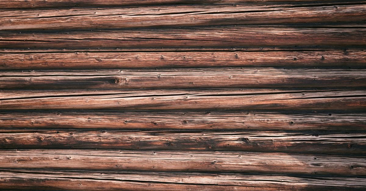 Rough logs lying side by side with long drying cracks open along the grain