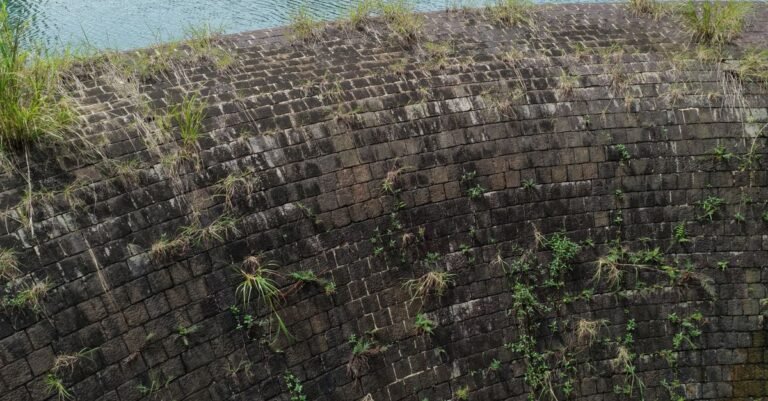 Aerial view of a curved stone retaining wall holding back a planted bank beside a body of water