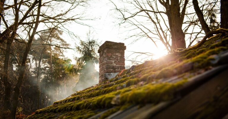 Sunlight falling through trees onto an old moss-covered roof beside a brick chimney