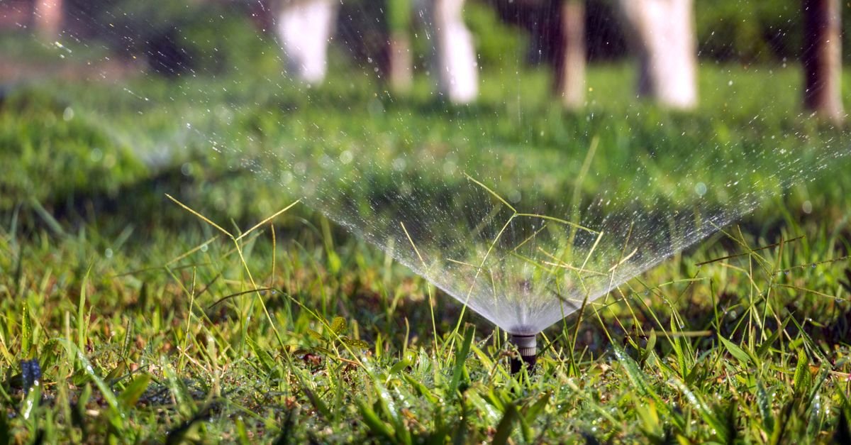 A lawn sprinkler throwing water across grass toward the edge of a paved area