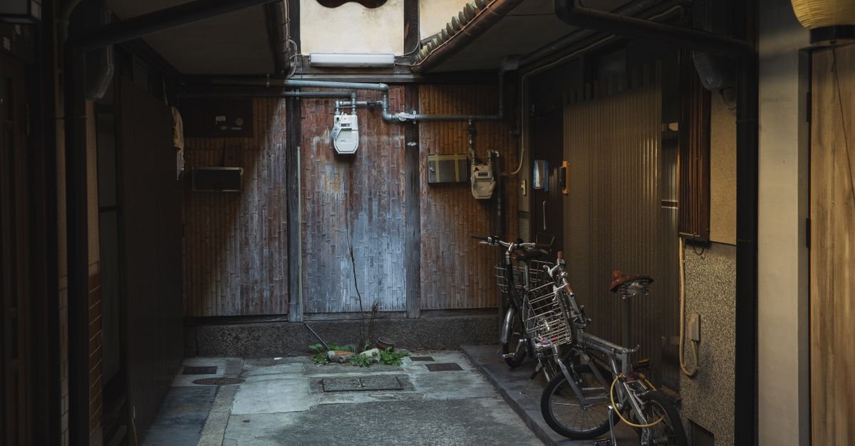 A narrow passage running between two houses with walls close on both sides