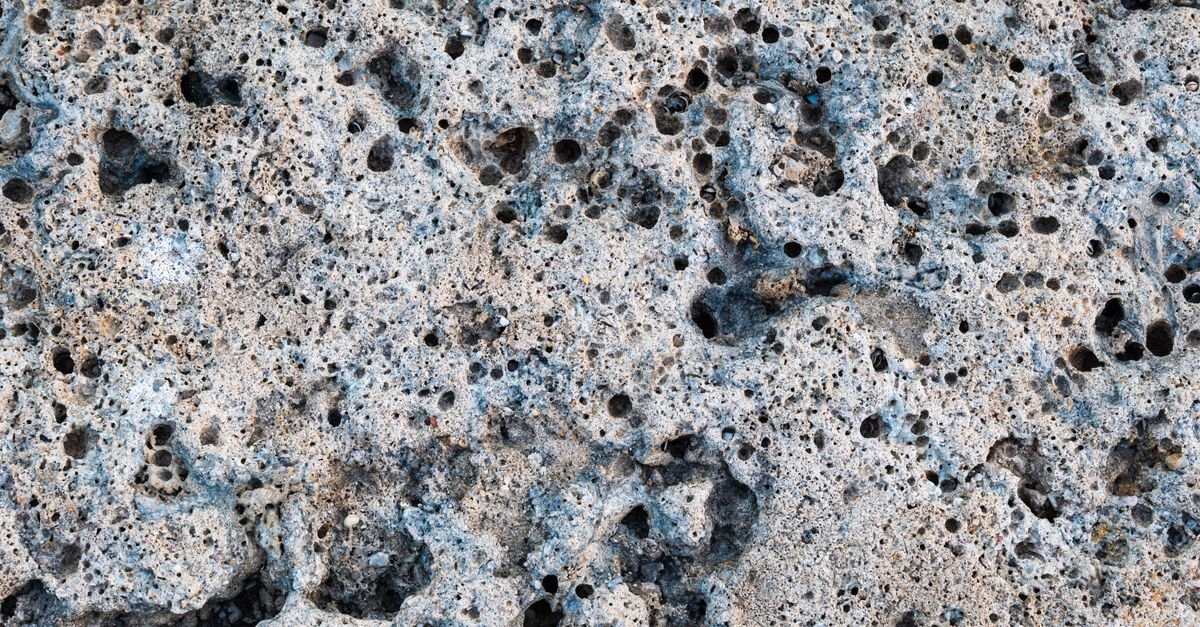 Close-up of a porous carbonate rock face covered in open voids of different sizes with thin walls between them