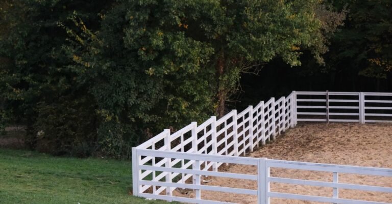 White PVC rail-and-post fence enclosing a sand paddock, shaded by trees