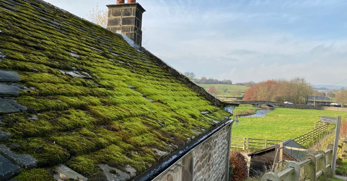 A stone cottage with a thick moss-covered roof, the kind of growth best assessed from the ground