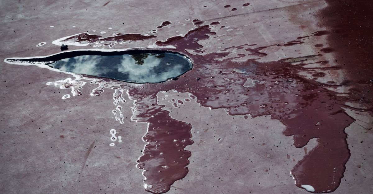 A shallow puddle still sitting on a concrete slab, the low spot that dries last after washing