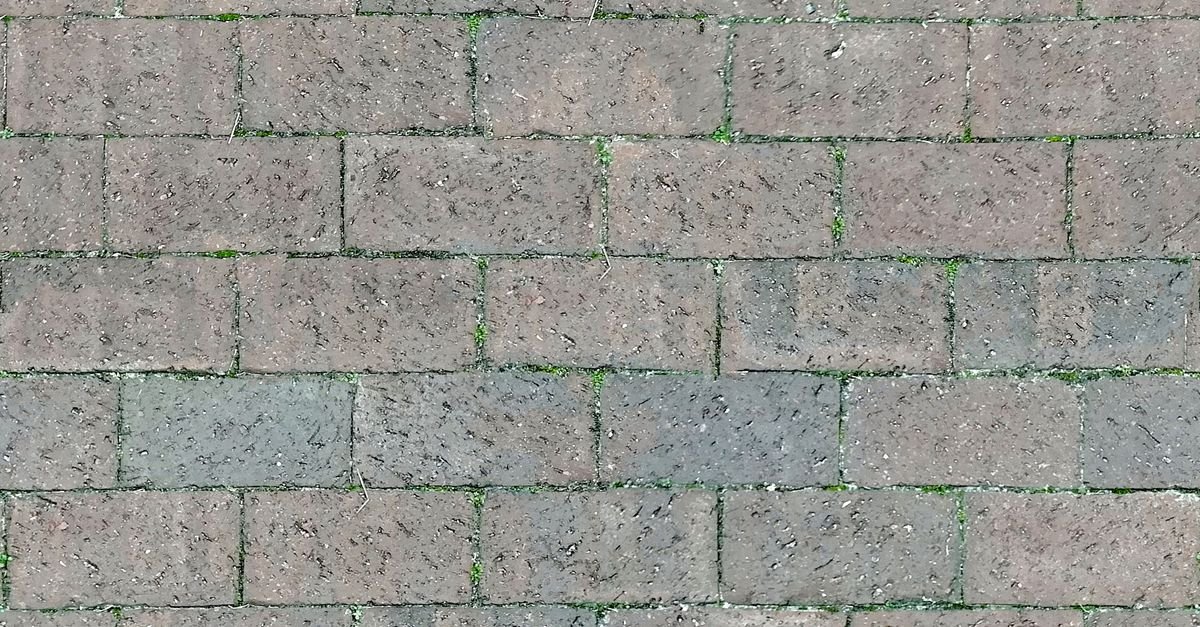 Interlocking grey brick paving with moss growing in the sand joints between the blocks