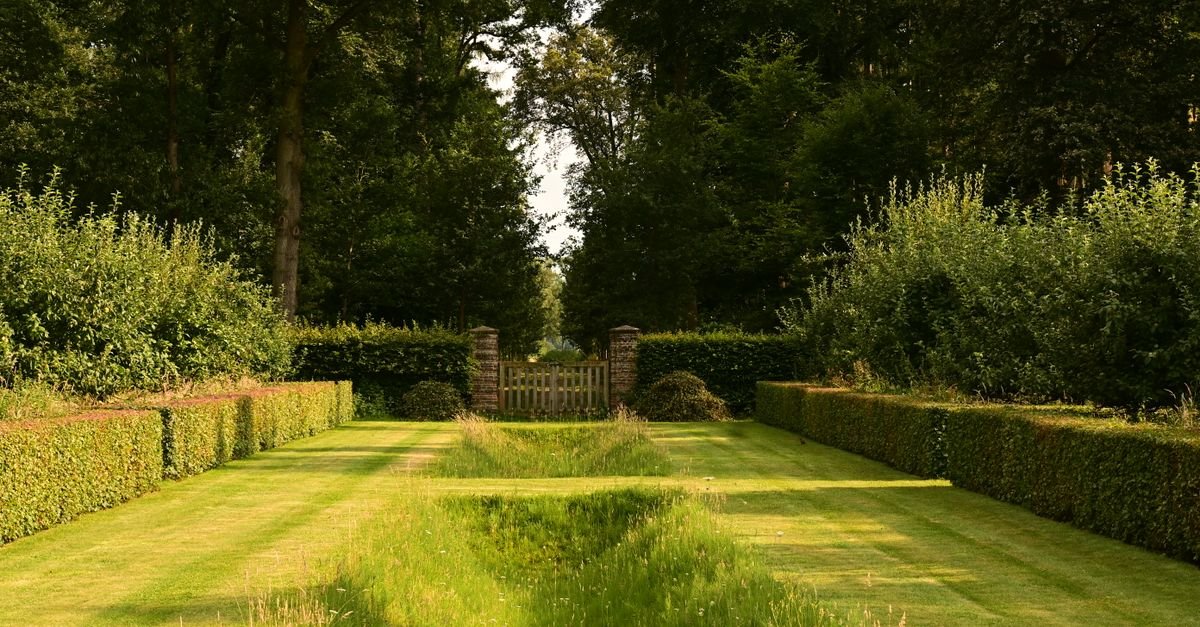 Garden path bordered by trimmed hedges and dense green planting on both sides