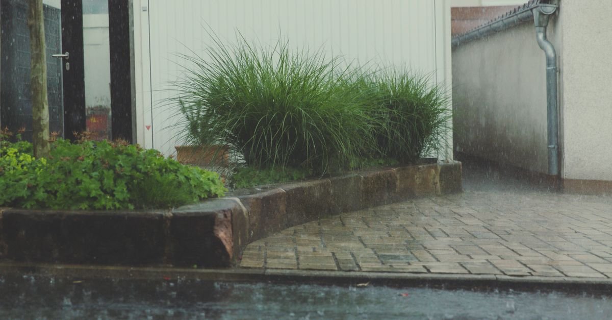 A residential courtyard in the rain, with water running across stone paving toward planting