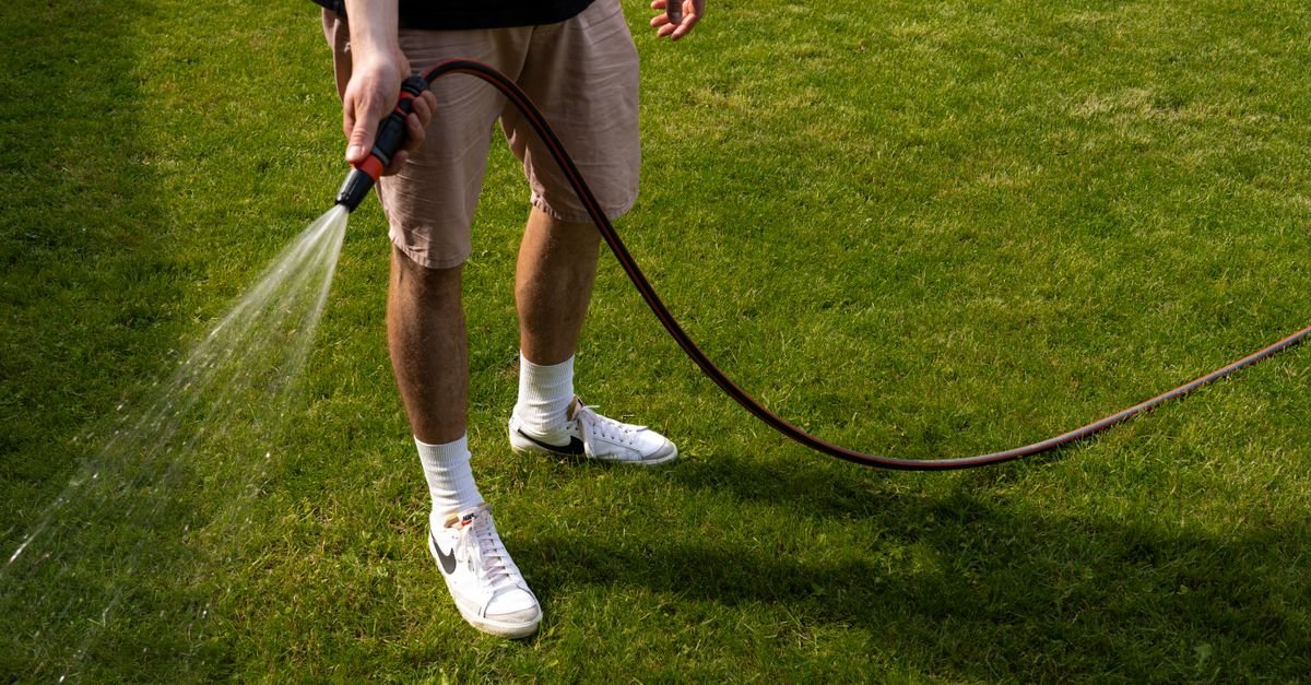 Man dragging a garden hose across a green lawn while watering, the everyday source of kinks
