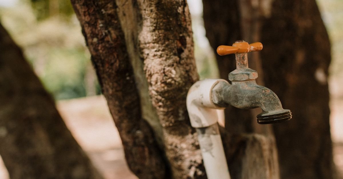 Aged outdoor faucet mounted on a tree trunk, the kind of tap that may not deliver full flow
