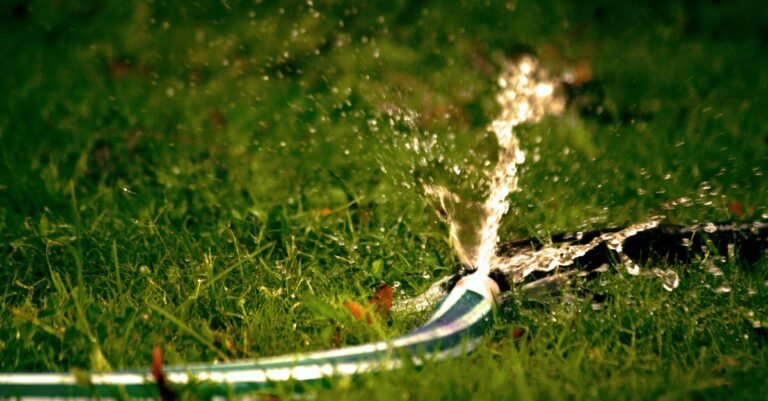 Garden hose spraying a wide arc of water across green grass in bright sunlight