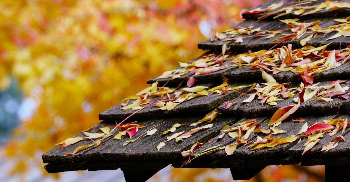 A rustic roofline covered in fallen autumn leaves