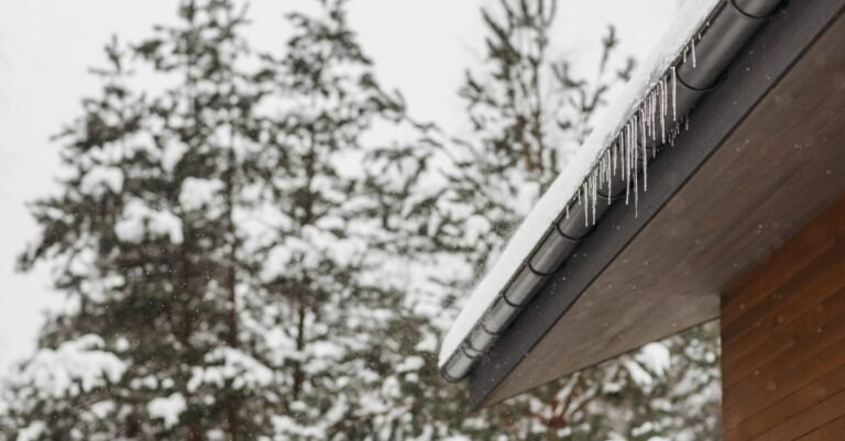 Icicles hanging in a row from the edge of a snow-covered roof above a pine treeline