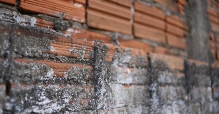 Aged light brown brick wall with pale patchy discolouration spreading across the lower courses