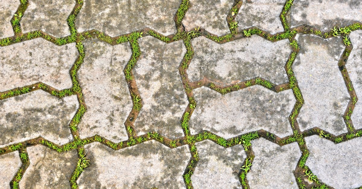 Interlocking concrete pavers with vegetation growing in the joints