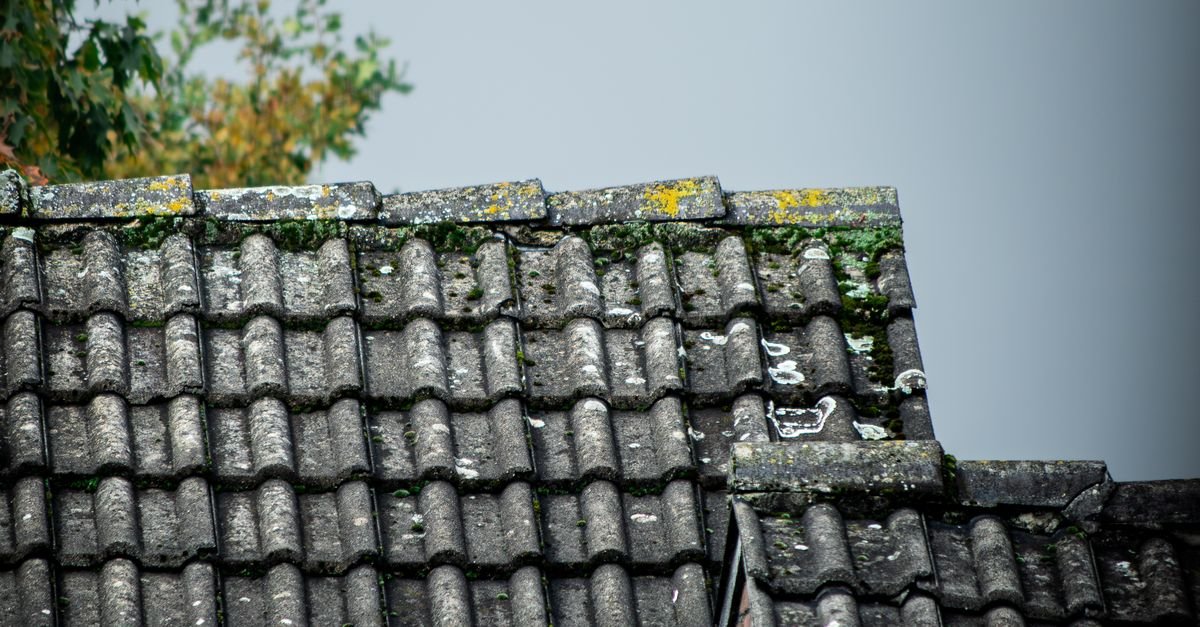Moss and lichen growing on clay tile roofing, a different material with its own cleaning rules