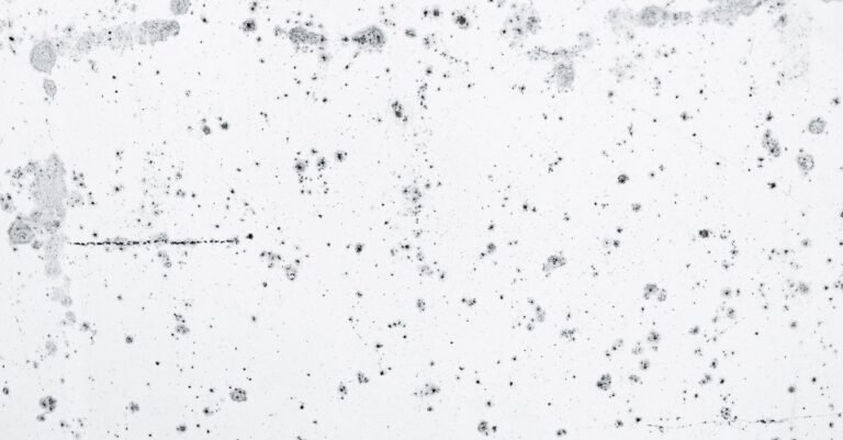 Dark biological staining spreading across a weathered grey concrete surface