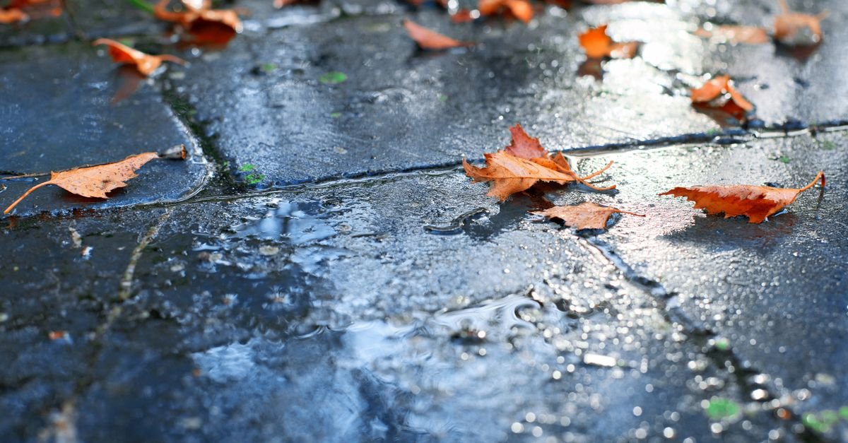 Wet pavement with fallen autumn leaves lying on the surface after rain