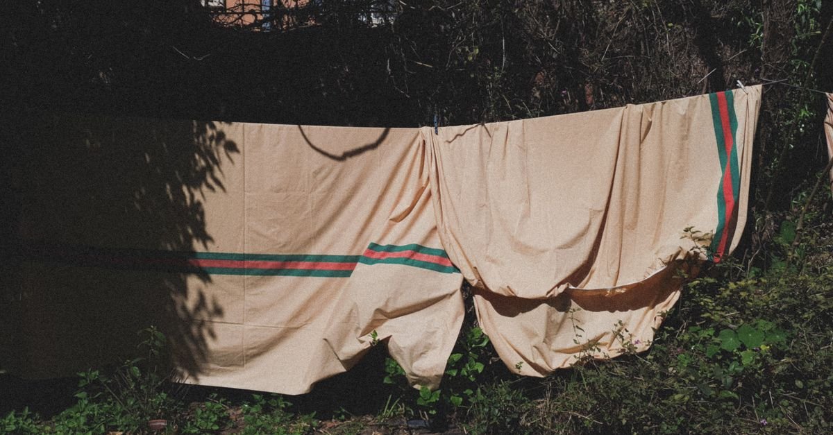 Striped blankets hanging on a clothesline outdoors among green foliage