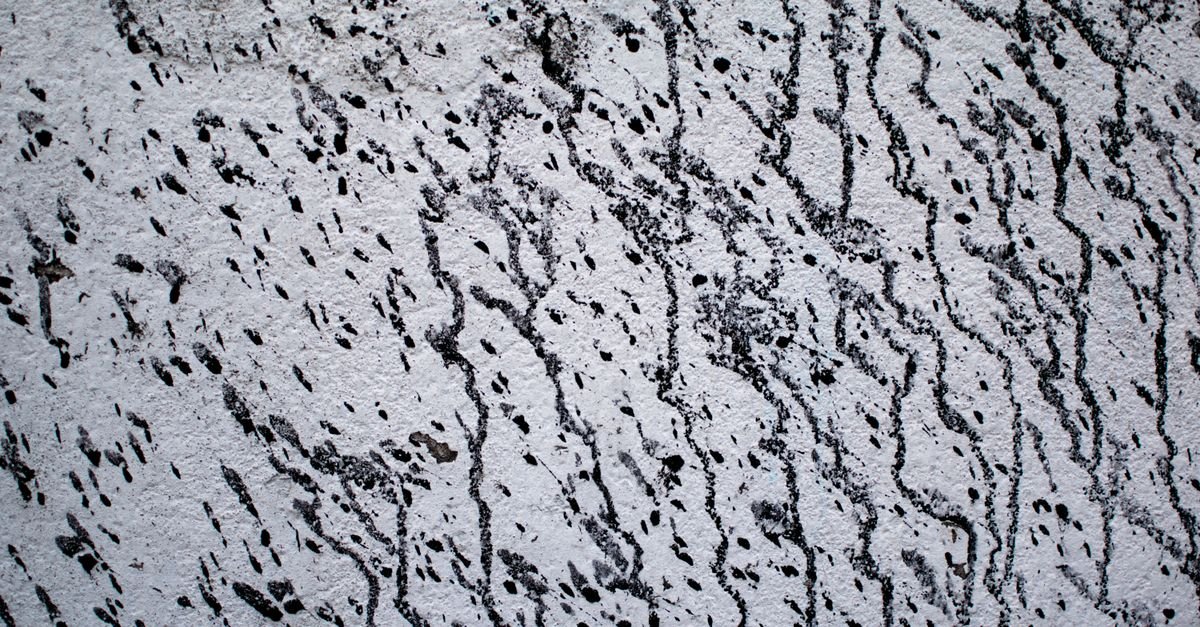 Dark mildew streaks running down a textured exterior wall