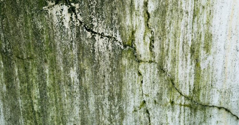 Green algae streaking down a cracked concrete surface where water repeatedly runs