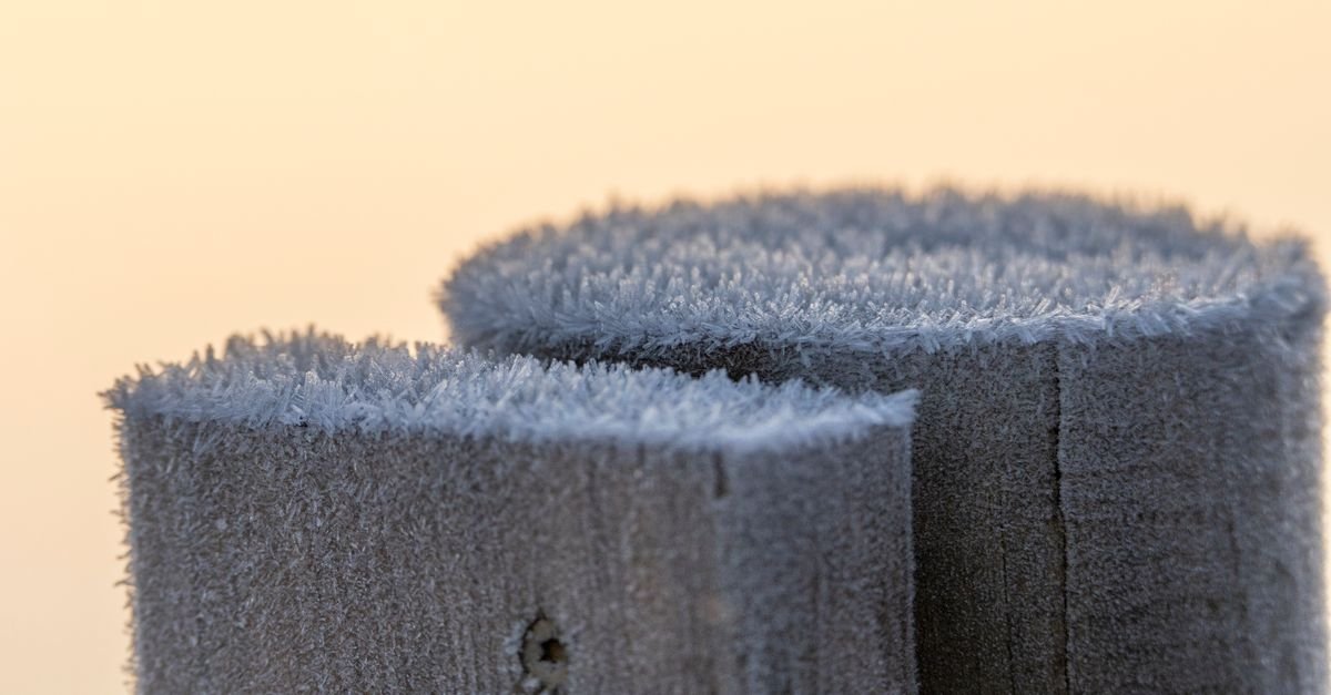 Close-up of frost coating cut wood ends, illustrating freezing conditions