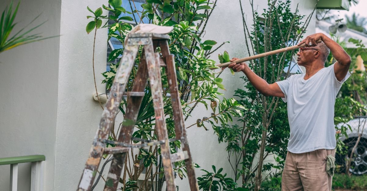 A man working on the wall of a house from a ladder in a garden