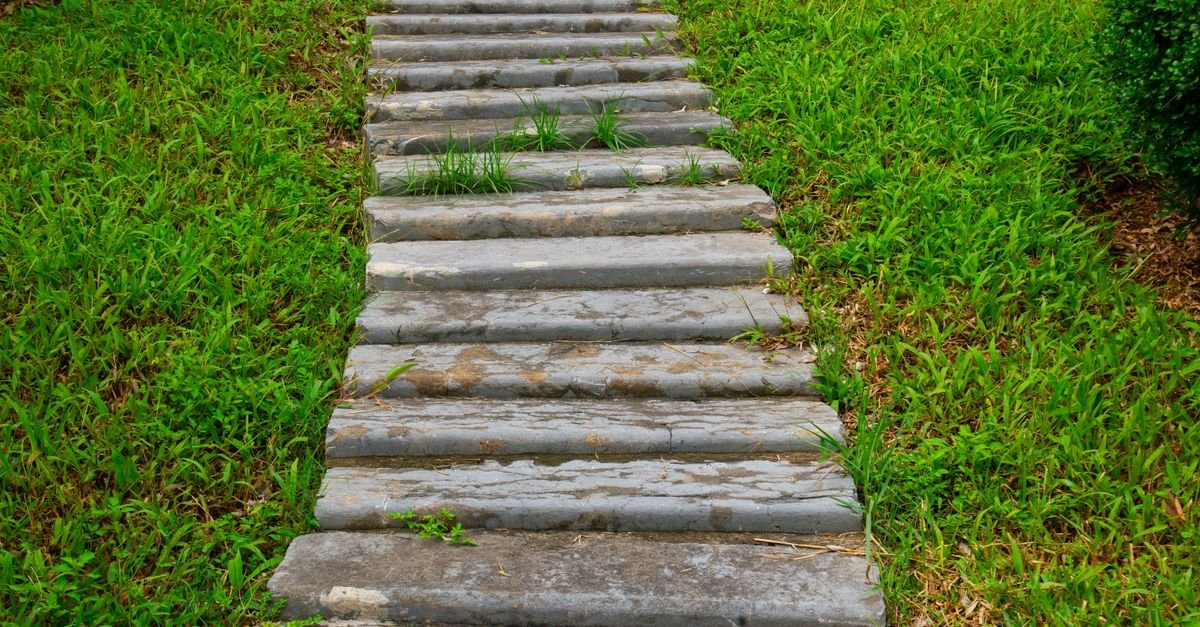 A stone walkway running through vibrant green grass in an outdoor garden