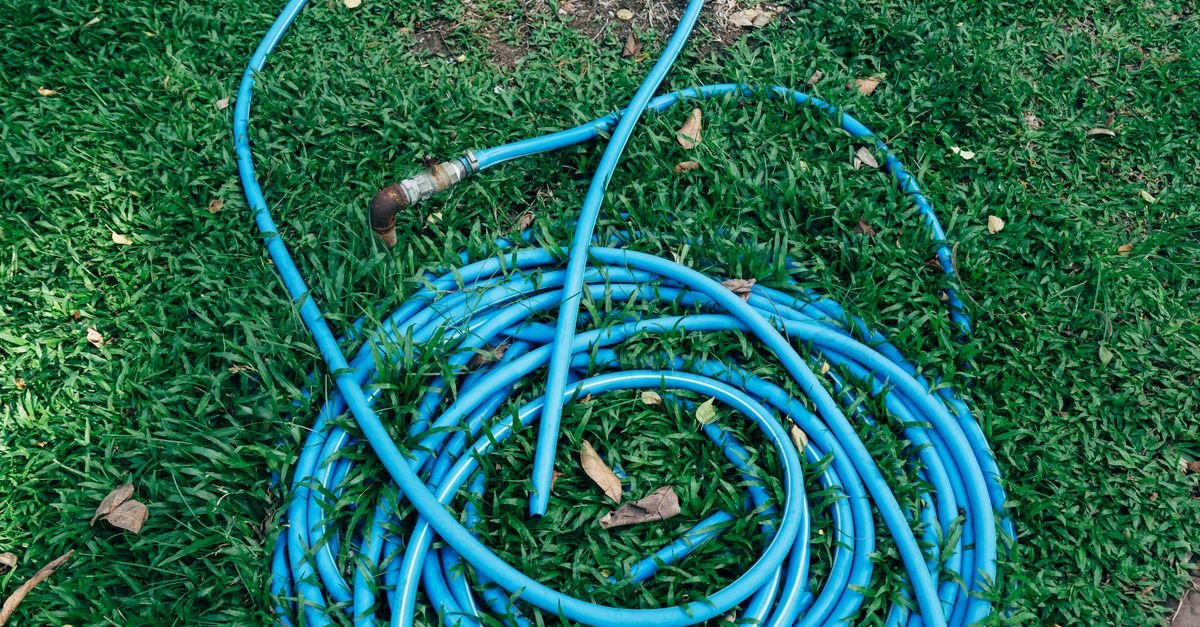 A blue garden hose coiled neatly on green grass in a sunny yard