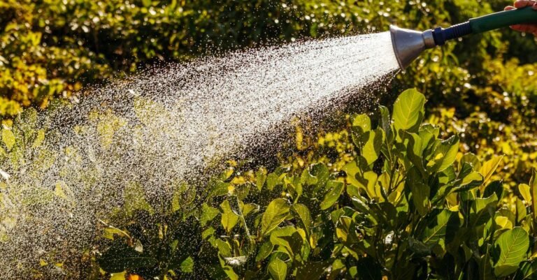 Close-up of a green garden hose delivering water over sunlit foliage, the ordinary supply hose that feeds a pressure washer