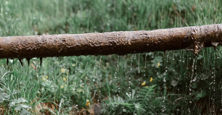 Water dripping steadily from an aged metal pipe above a lawn