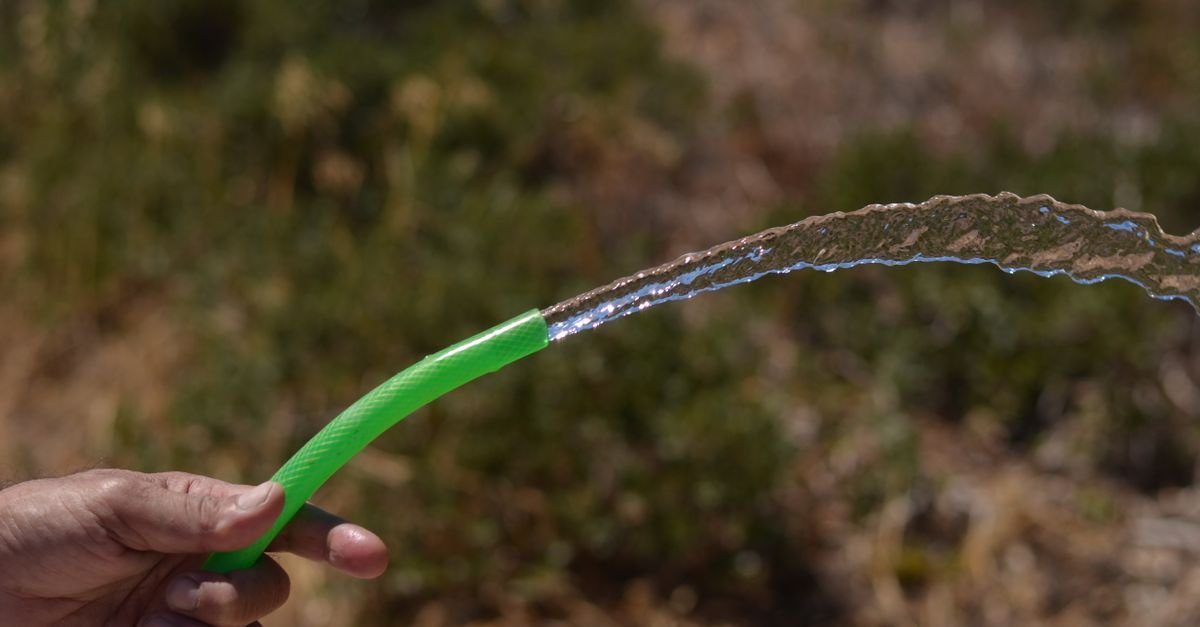Muddy, discoloured water spraying from a garden hose before it runs clear
